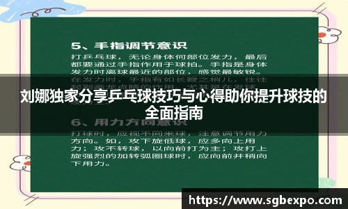 刘娜独家分享乒乓球技巧与心得助你提升球技的全面指南